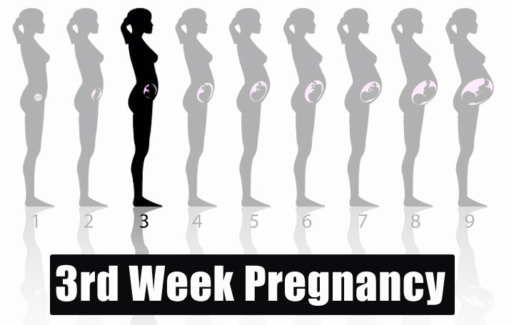 Three Weeks Pregnant Signs 102