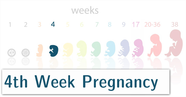 6 days past due poor pregnancy check