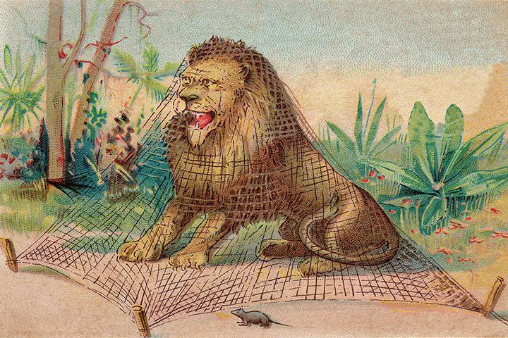 25 Best Short Animal Stories For Kids With Morals 25 Best Short Animal Stories For Kids With Morals