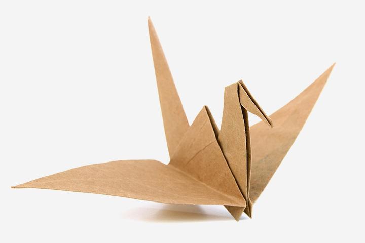 Paper Folding Craft