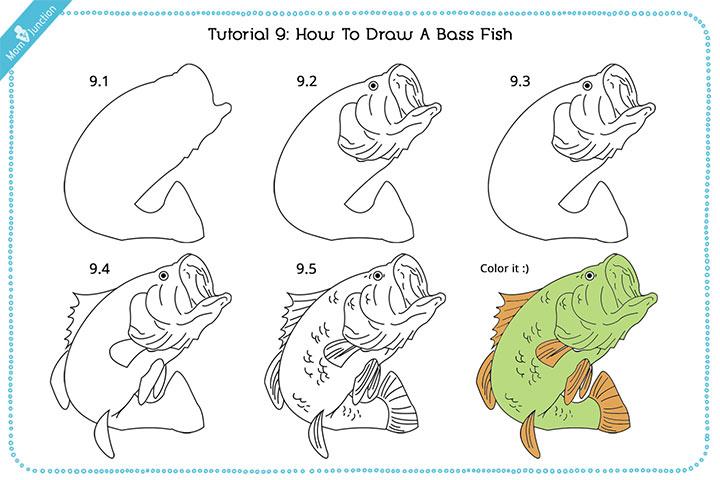 Fish Drawing Step by Step - Smiling Colors