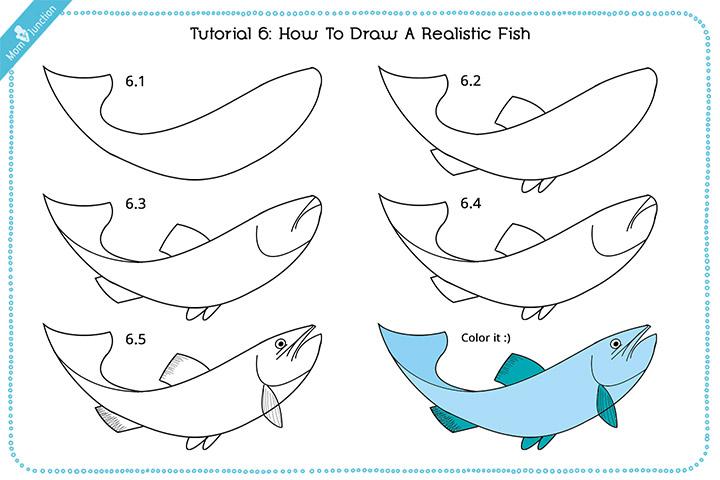 Step by step to draw a Cute Fish. Drawing tutorial a Cute Fish