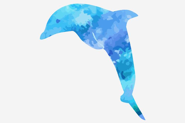 10 Fun Dolphin Crafts For Preschoolers