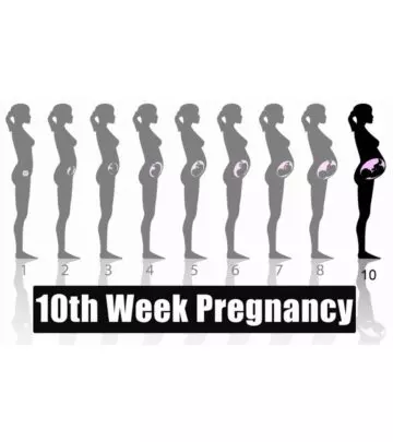 10th Week Pregnancy: Signs, Baby Development, Tips And Size