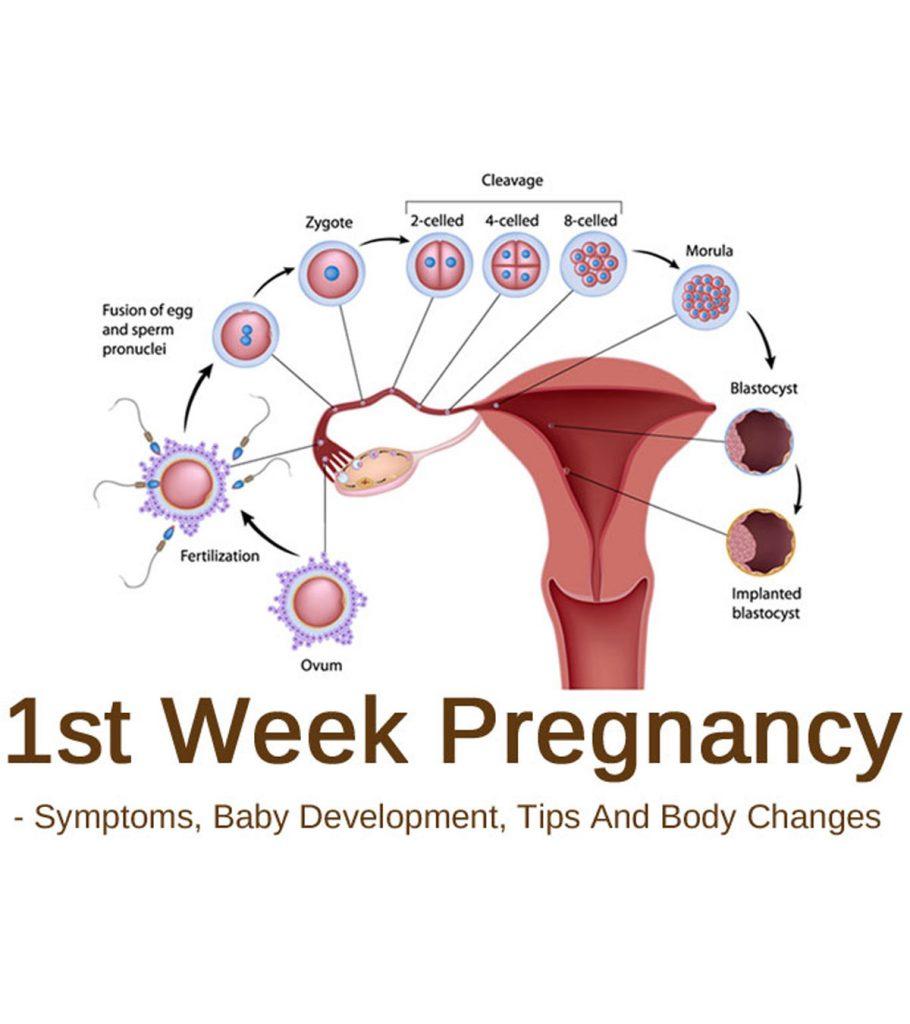 35 Weeks Pregnant: Symptoms, Size, and Development