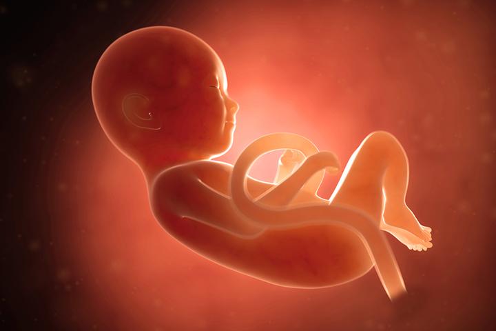 Unripe papaya during pregnancy may harm fetal development.