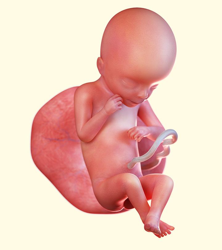 19 Weeks Pregnancy Symptoms