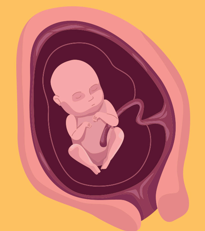 https://www.momjunction.com/wp-content/uploads/2014/06/4-Months-Pregnant-Symptoms-Baby-Development-And-Diet-Tips-1.jpg