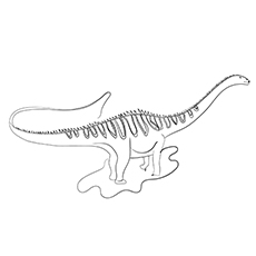 Diplodocus dinosaur coloring pages