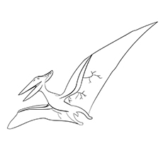 Pteranodon Dinosaur coloring pages