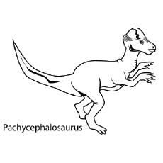 Pachycephalosaurus Dinosaur coloring page