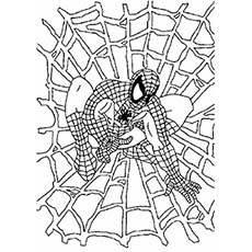 Spiderman in a Web coloring page