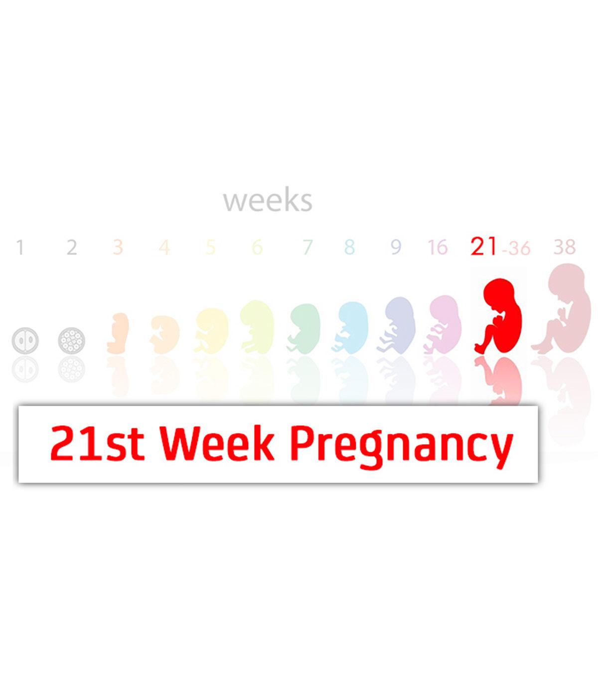 Baby growth on 21st weeks pregnant