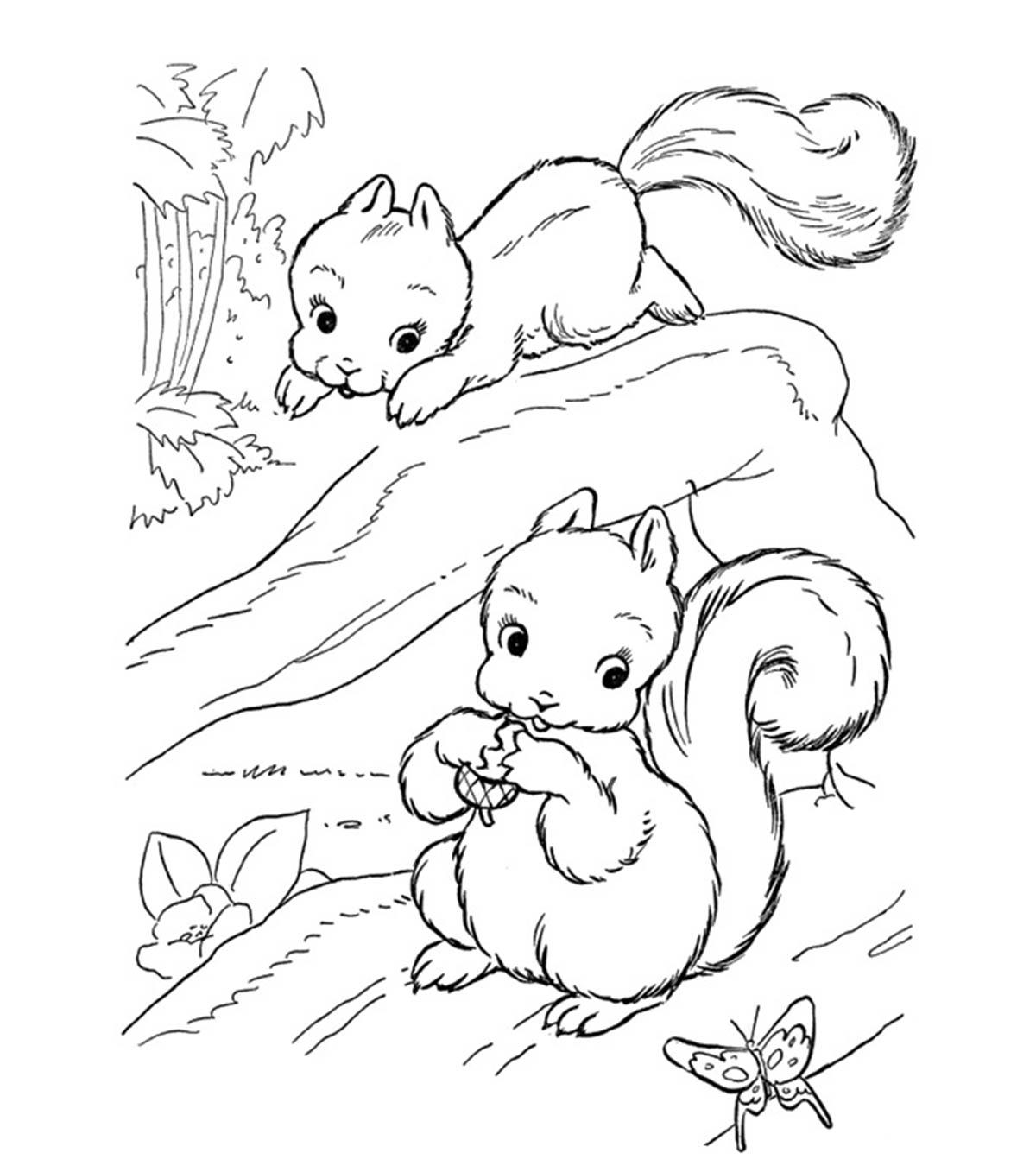 25 Interesting Squirrel Coloring Pages To Keep Your Child Busy