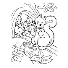 Top 25 Free Printable Squirrel Coloring Pages Online