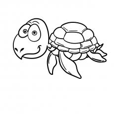 Cartoon Turtle