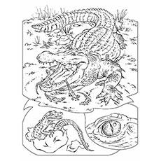 Wild Animal Croc to Color