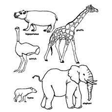 Wild Life Giraffe And Elephant Coloring Pages