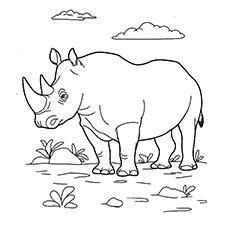 Rhinoceros Coloring Pages