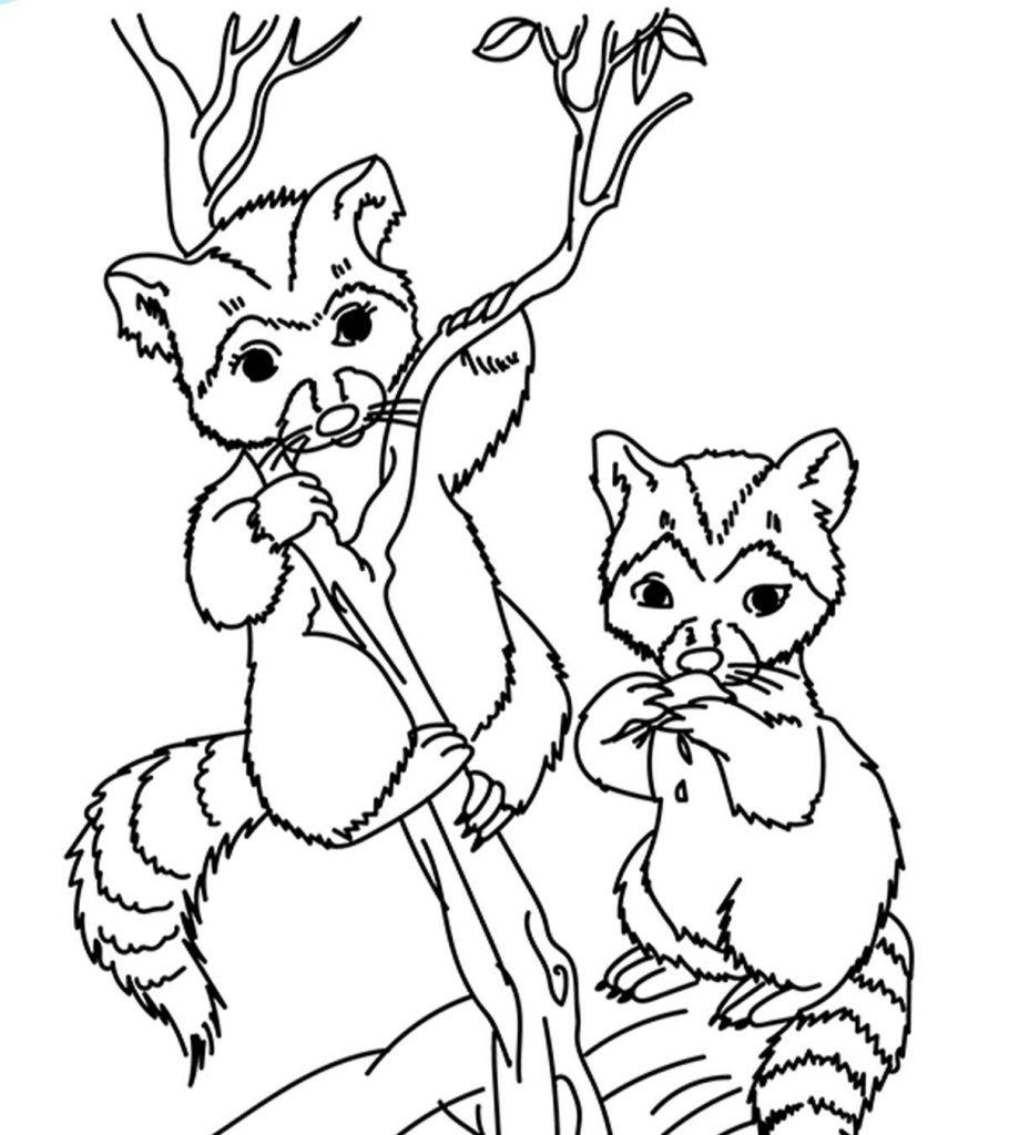 Animals Coloring Pages for Kids , Cute Animals Drawing Book PDF 