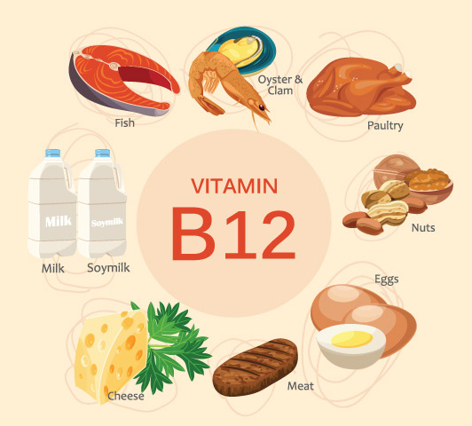 Vitamin b complex during pregnancy, vitamin b12