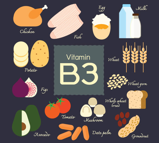 Vitamin b complex during pregnancy, vitamin b3