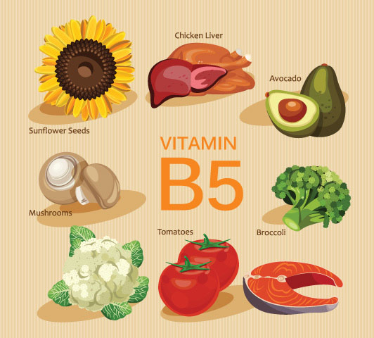 Vitamin b complex during pregnancy, vitamin b5
