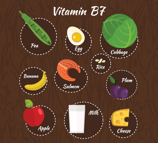 Vitamin b complex during pregnancy, vitamin b7