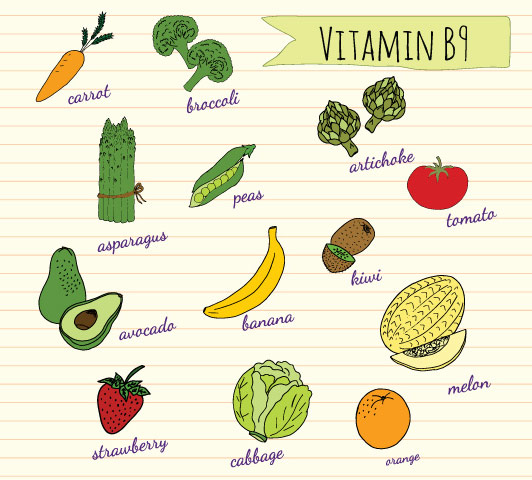 Vitamin b complex during pregnancy, vitamin b9