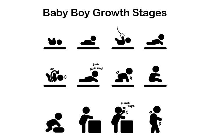 Baby Boy Growth Chart Track Your S Weight And Height Baby Boy Growth