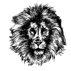 Hand Drawn Lion Coloring Pages