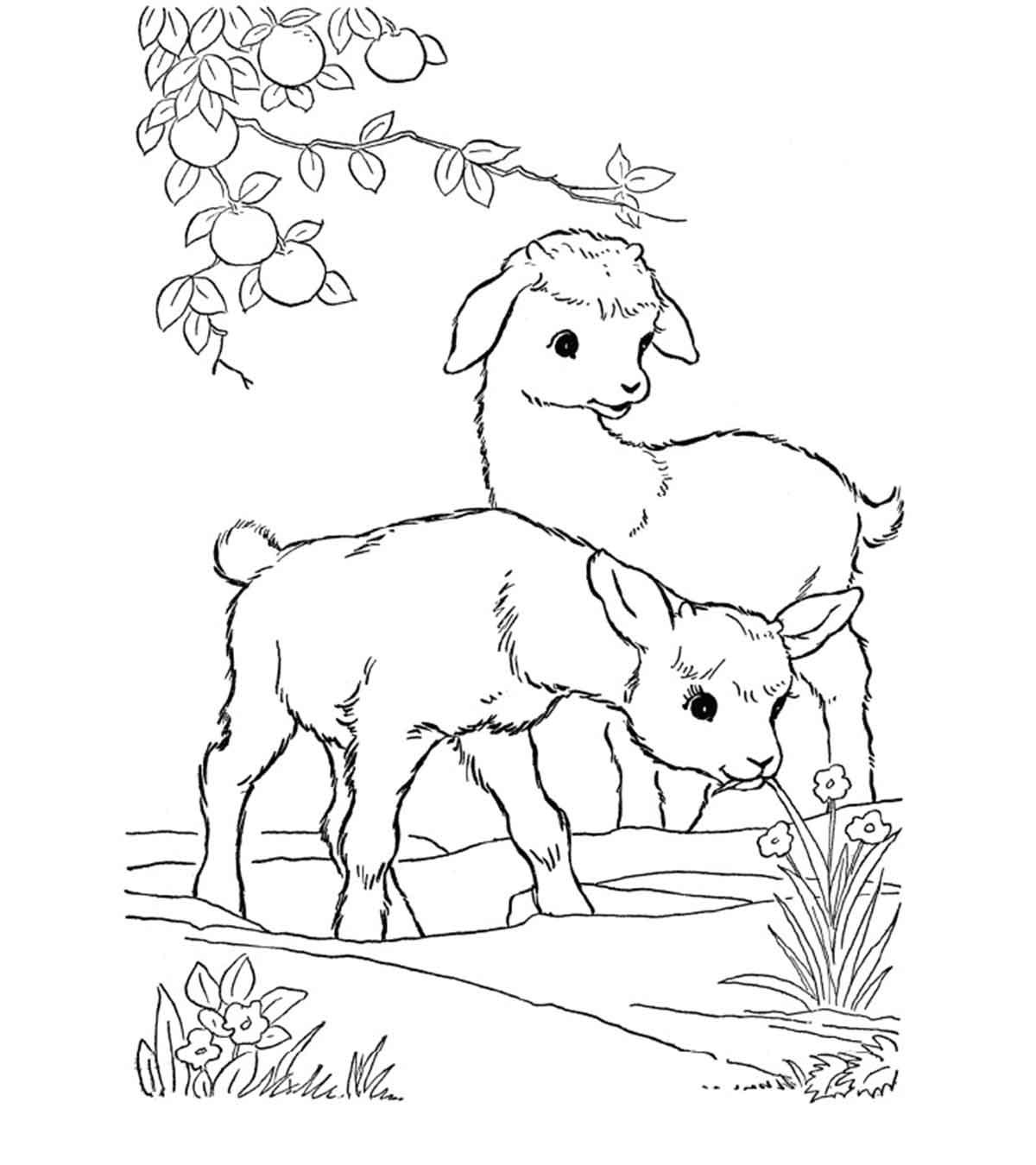 25 Cute Goat Coloring Pages For Your Toddler_image