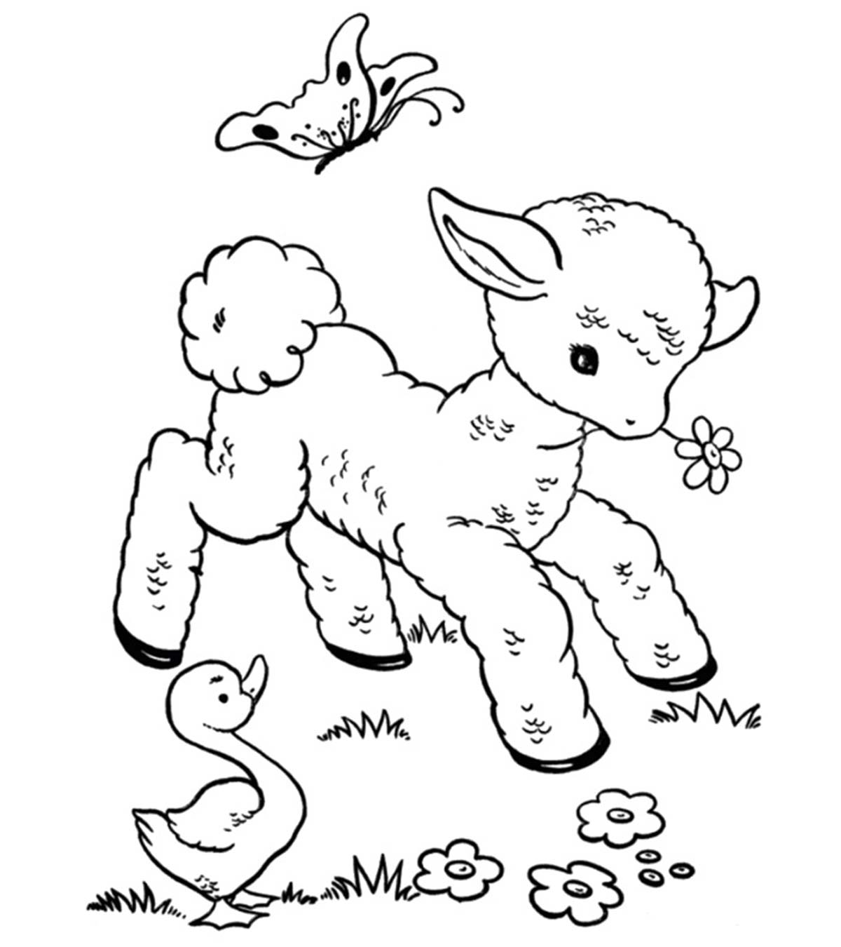 25 Funny Sheep Coloring Pages Your Toddler Will Love_image
