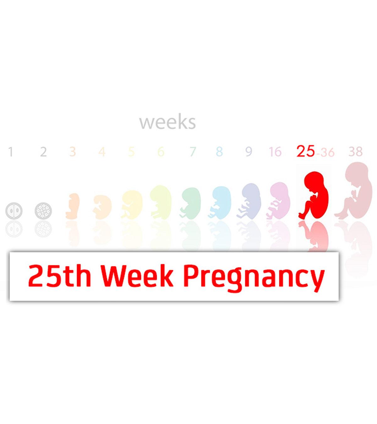 Symptoms Of 25 Weeks Pregnant Woman