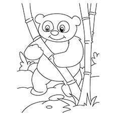 Top 25 Panda Bear Coloring Pages For Your Little Ones