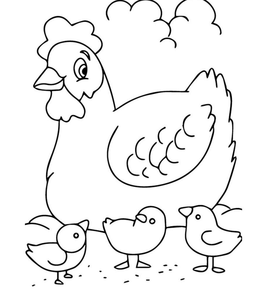 domestic animals pictures for colouring