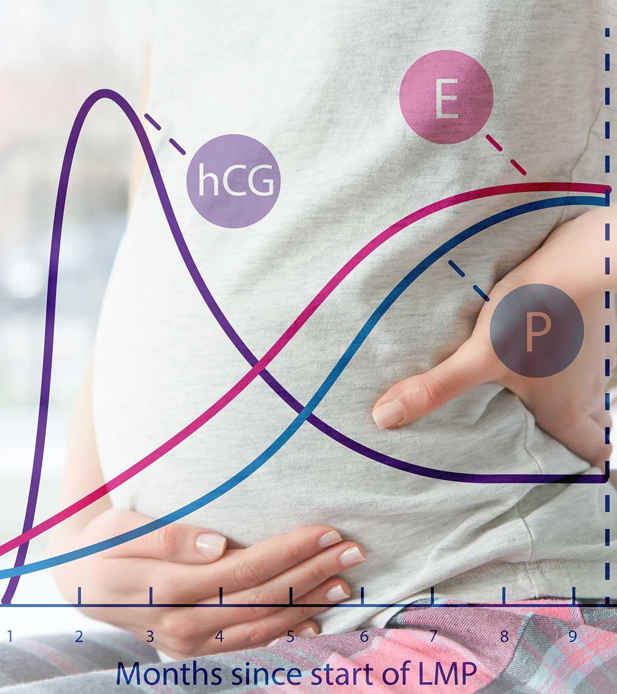 Progesterone During Pregnancy: Safety And Their Levels