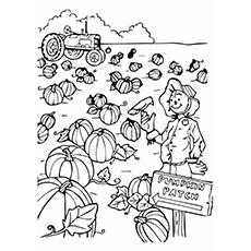 Top 25 Free Printable Pumpkin Patch Coloring Pages Online