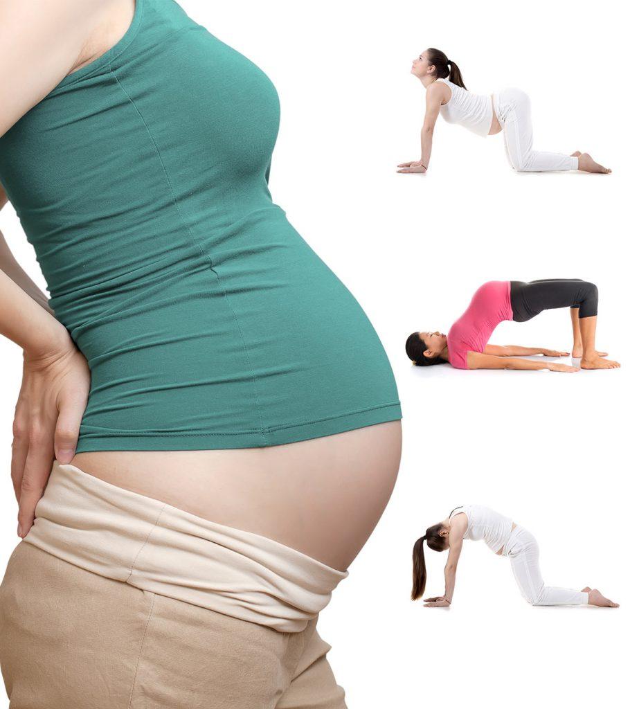 Pregnancy Exercise Third Trimester 