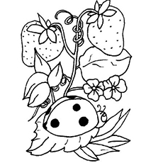 Strawberries And Ladybug coloring page