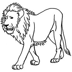 Top 10 Free Printable Jungle Animals Coloring Pages Online