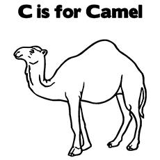 Top 25Free Printable Camel Coloring Pages Online