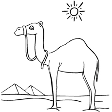 Download Top 25Free Printable Camel Coloring Pages Online