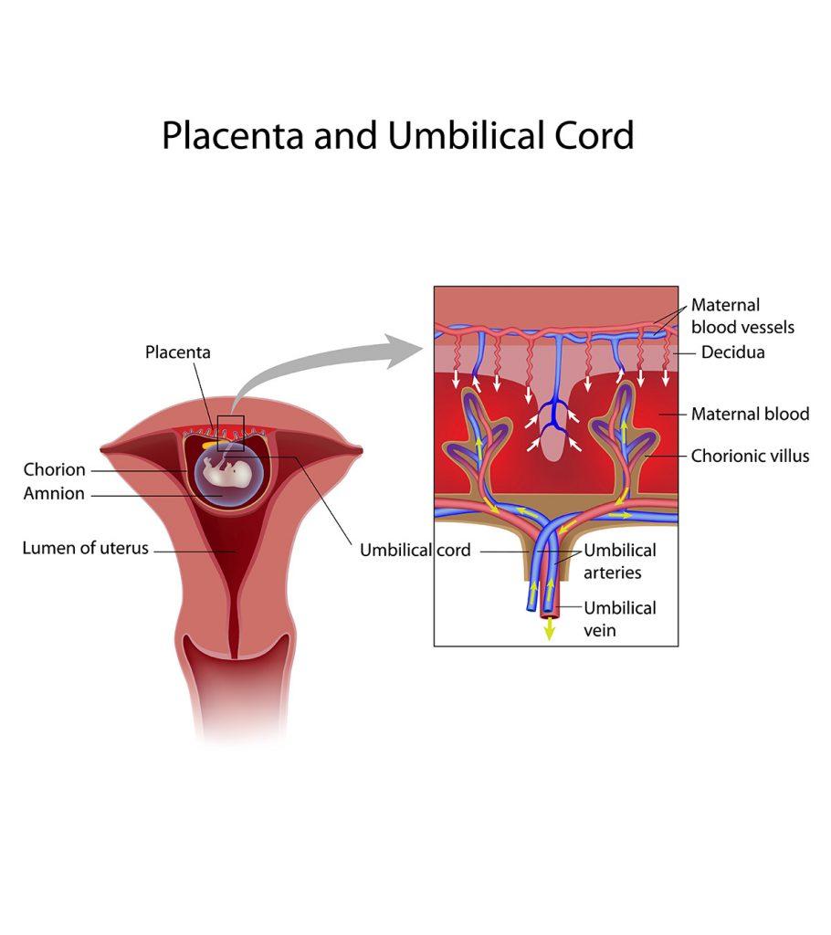 Types and causes of blood clots