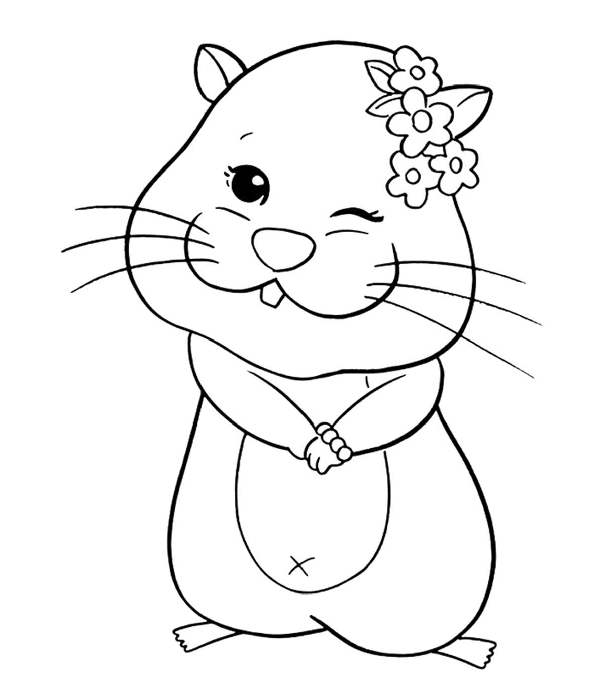 25 Best Hamster Coloring Pages Your Toddler Will Love To Color