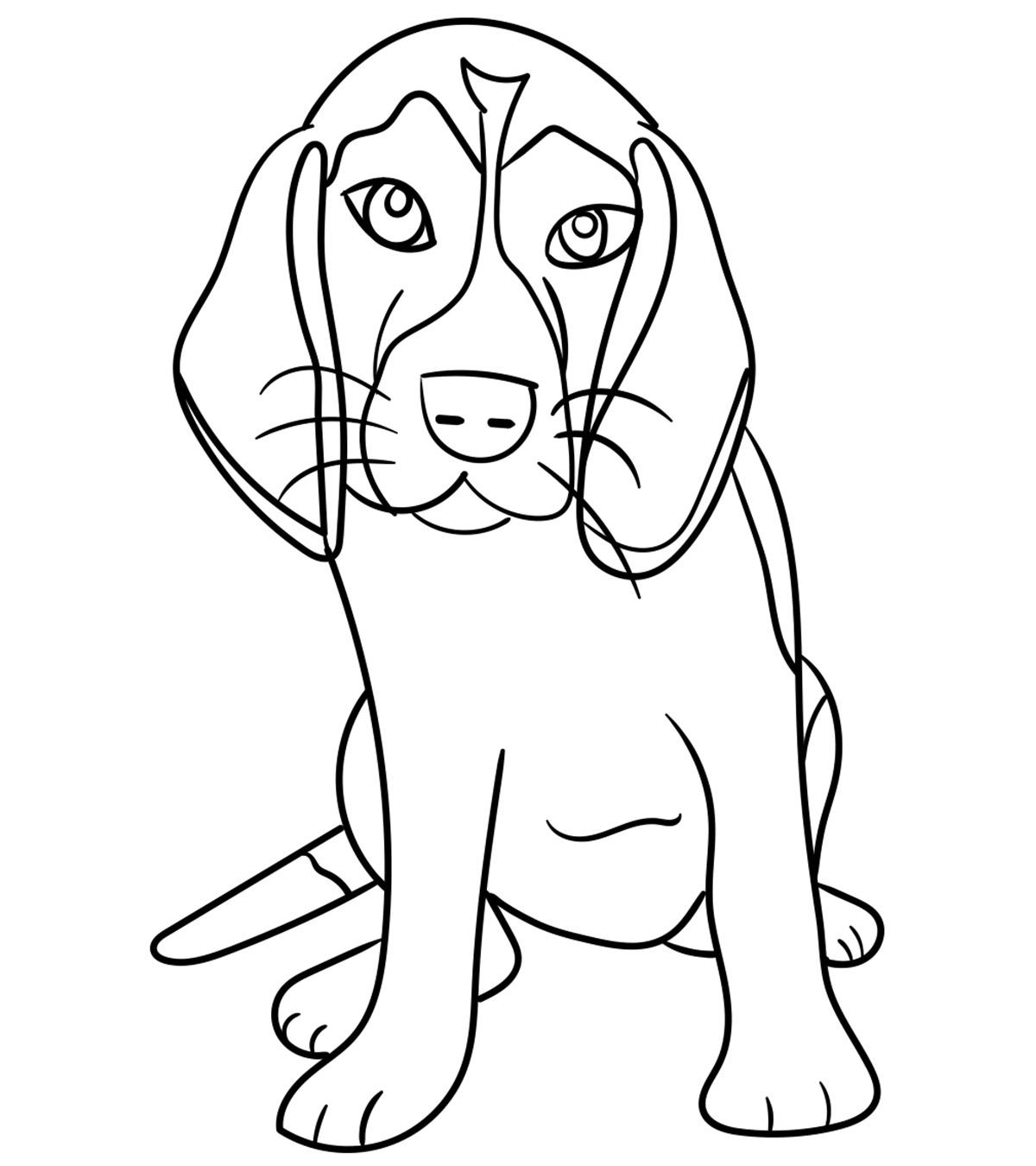 75 Top Snow Dogs Coloring Pages Pictures