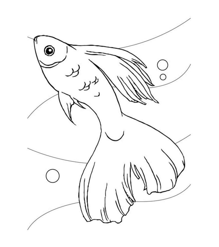 Fish Coloring Pages - Dive into the Exciting Sea World