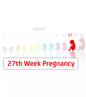 27th Week Pregnancy: Symptoms, Baby Development And Tips