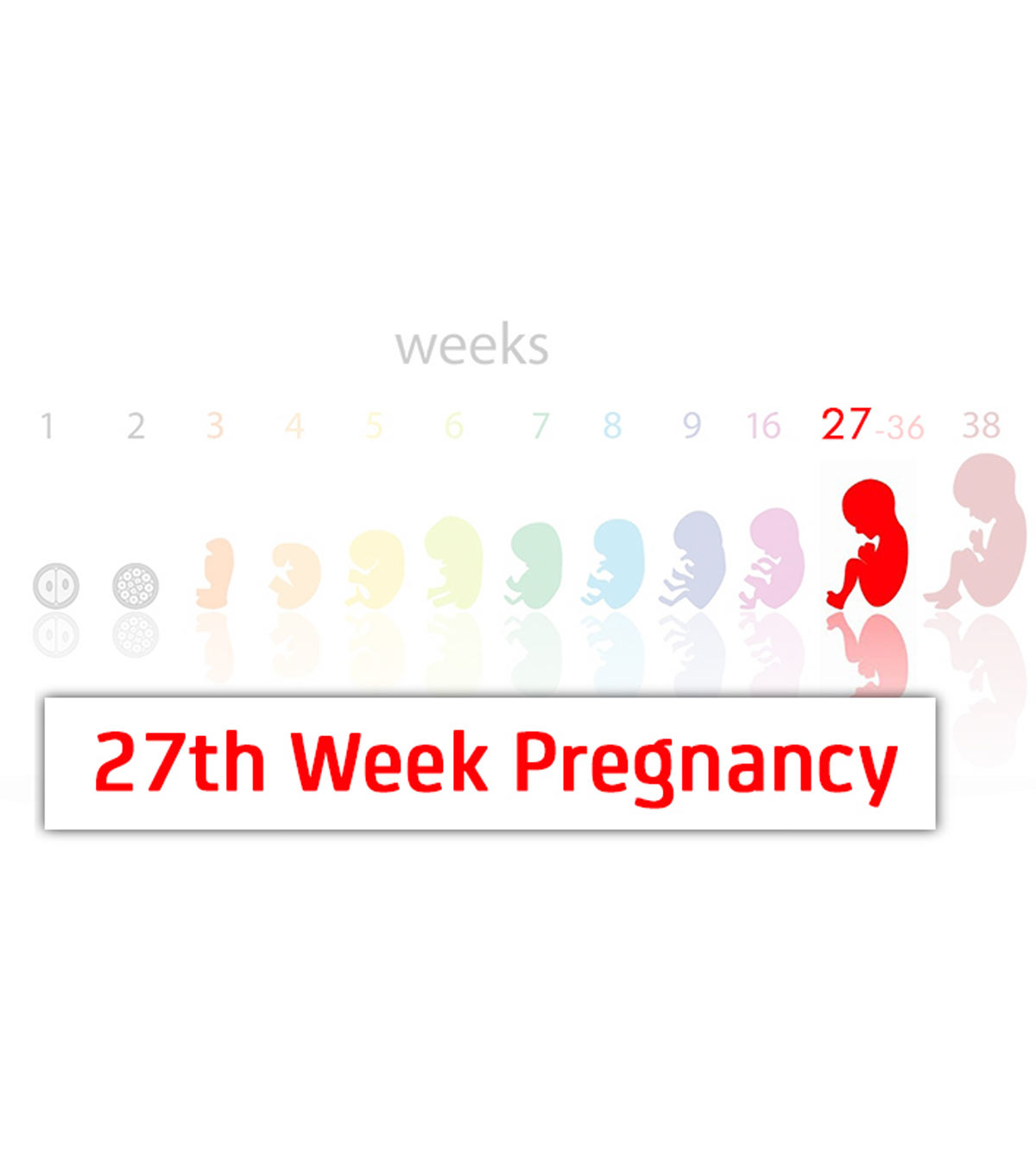 27th Week Pregnancy: Symptoms, Baby Development And Tips