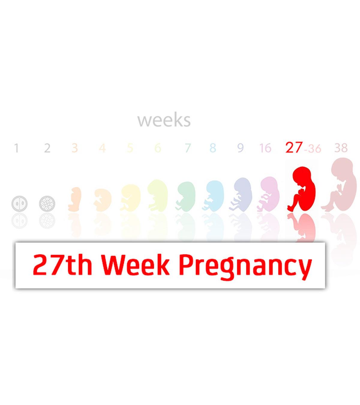 Symptoms Of 27 Weeks Pregnant Woman